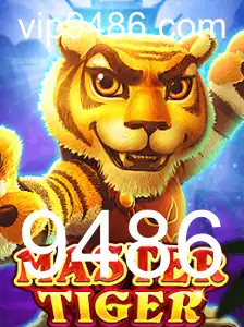 Introdução e Regras do Jogo MasterTiger